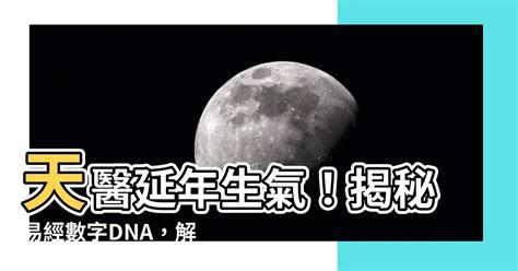 天醫加延年|【天醫 延年 生氣】解鎖你的數字運勢：天醫、延年、生氣號碼全。